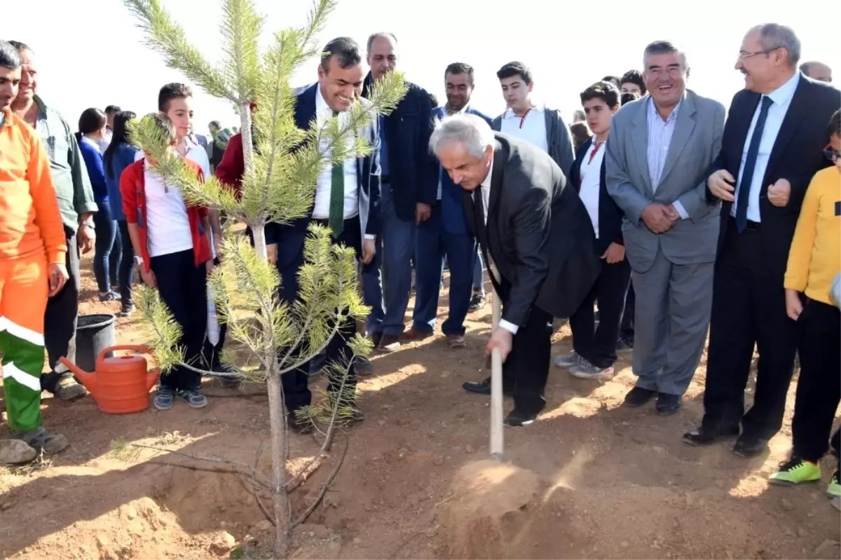 KOSKİ'den 'Geleceğe Nefes' için 42 bin fidan