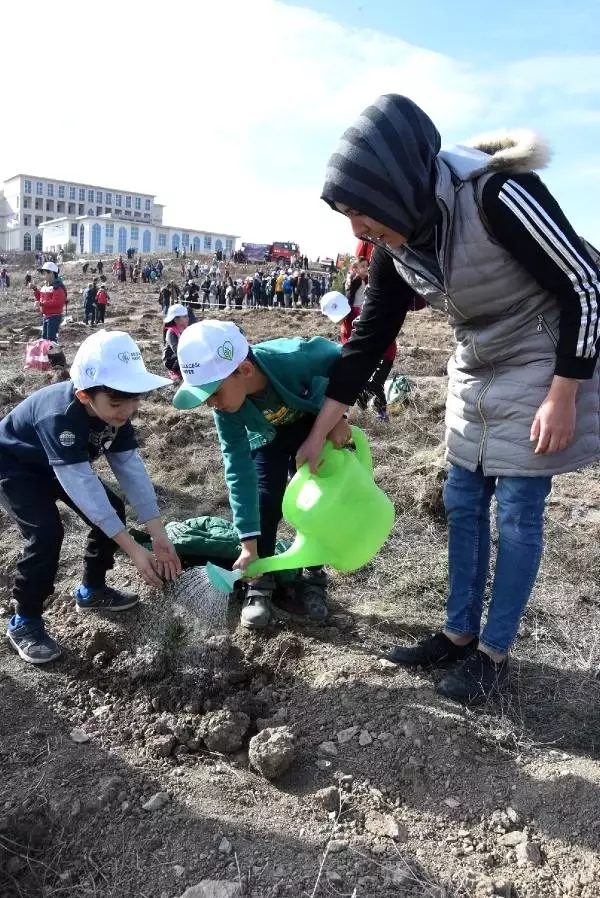 Kütahya'da 250 bin fidan dikildi, 3 hektar ormanlık alan yandı Kütahya'da 250 bin fidan dikildi, 3 hektar ormanlık alan yandı