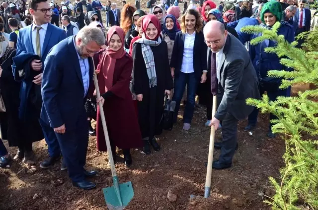 Kütahya'da 250 bin fidan toprakla buluştu Kütahya'da 250 bin fidan toprakla buluştu