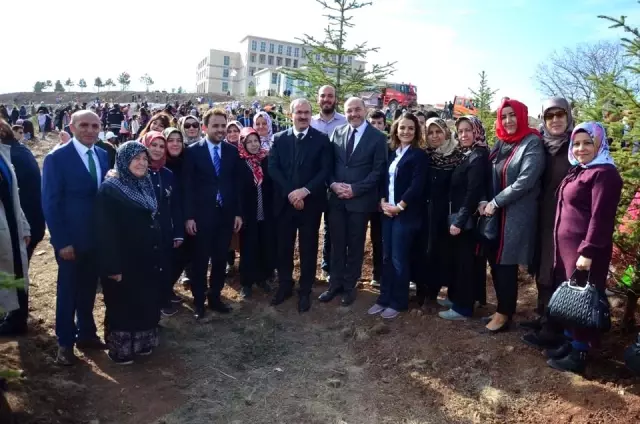 Kütahya'da 250 bin fidan toprakla buluştu Kütahya'da 250 bin fidan toprakla buluştu
