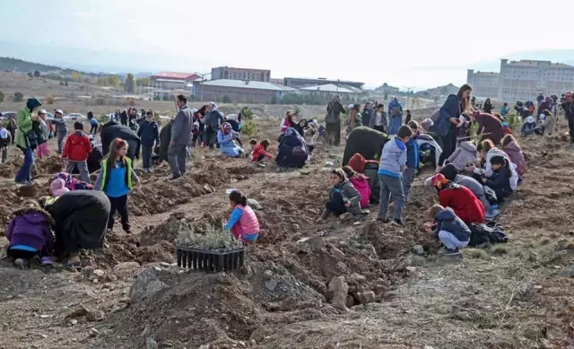 Kütahya'da 250 bin fidan toprakla buluştu Kütahya'da 250 bin fidan toprakla buluştu