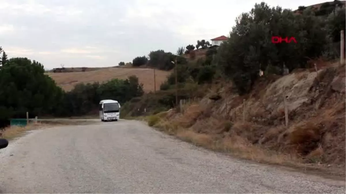 manisa alasehir de 2 bin fidan dikildi