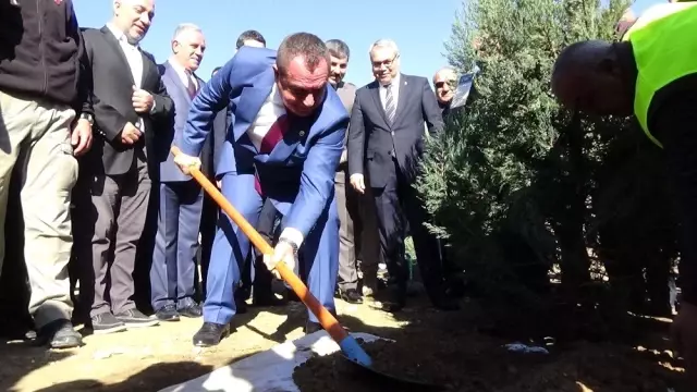 Muş'ta 80 bin fidan toprakla buluştu Muş'ta 80 bin fidan toprakla buluştu