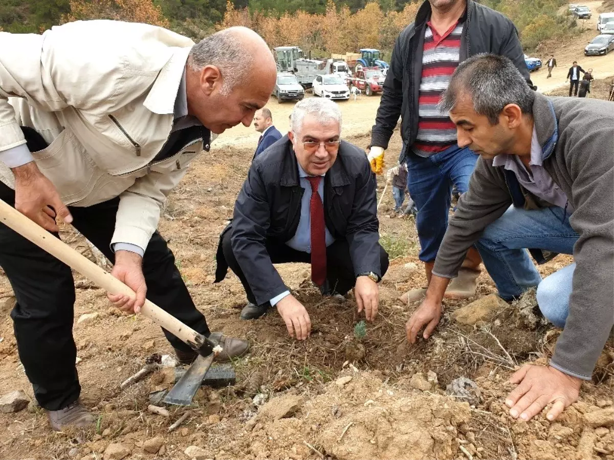 Orhaneli'de 63 bin fidan topraklı buluştu