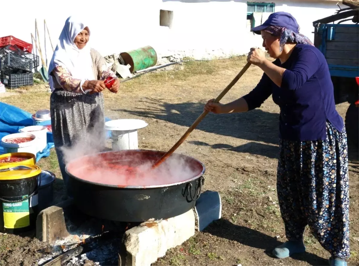 (Özel) Bir gün uğraşıp tüm kış boyunca yiyorlar