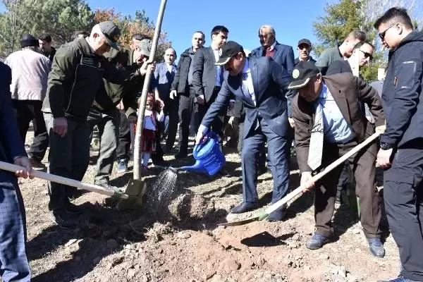 Sınırda fidanlar toprakla buluştu Sınırda fidanlar toprakla buluştu