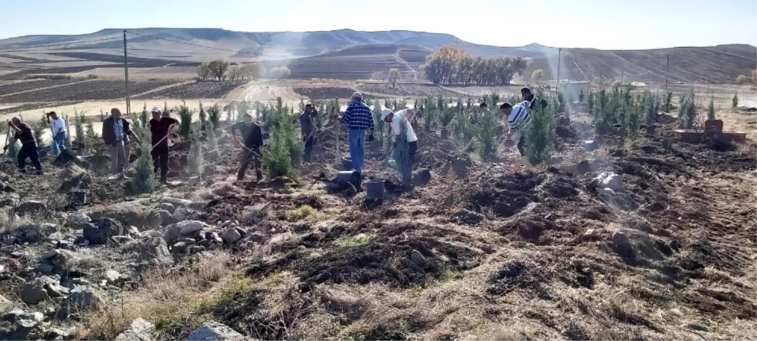 Sorgun'da bin 800 fidan toprakla buluştu