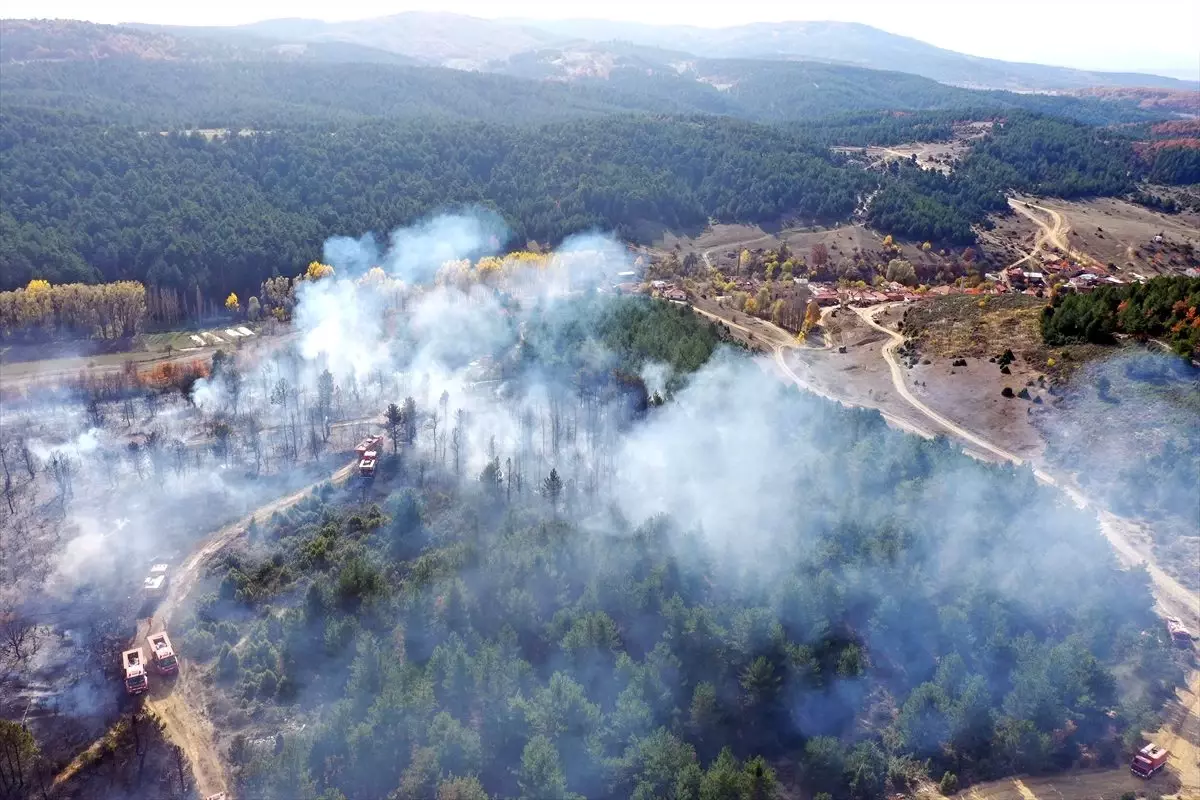 Tavşanlı'da orman yangınında 3 hektar alan zarar gördü
