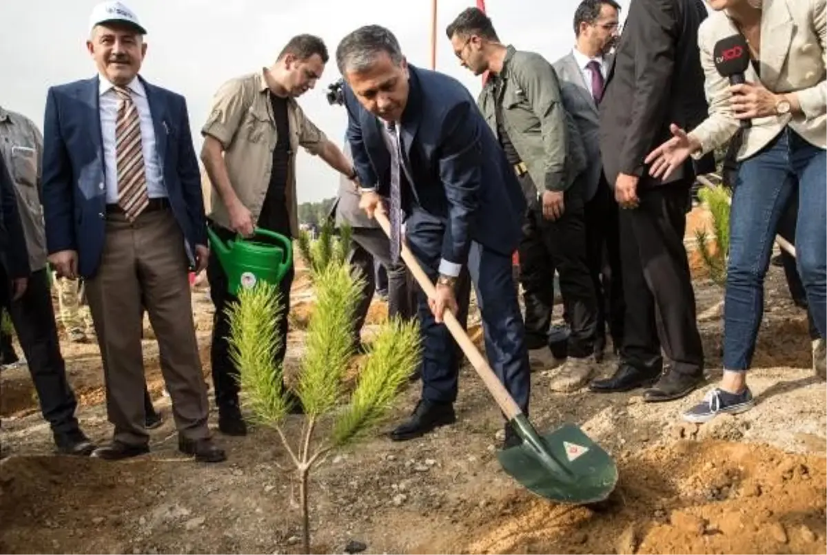 Vali Yerlikaya: Bu yıl sonu 1.5 milyon fidan toprak ile buluşacak