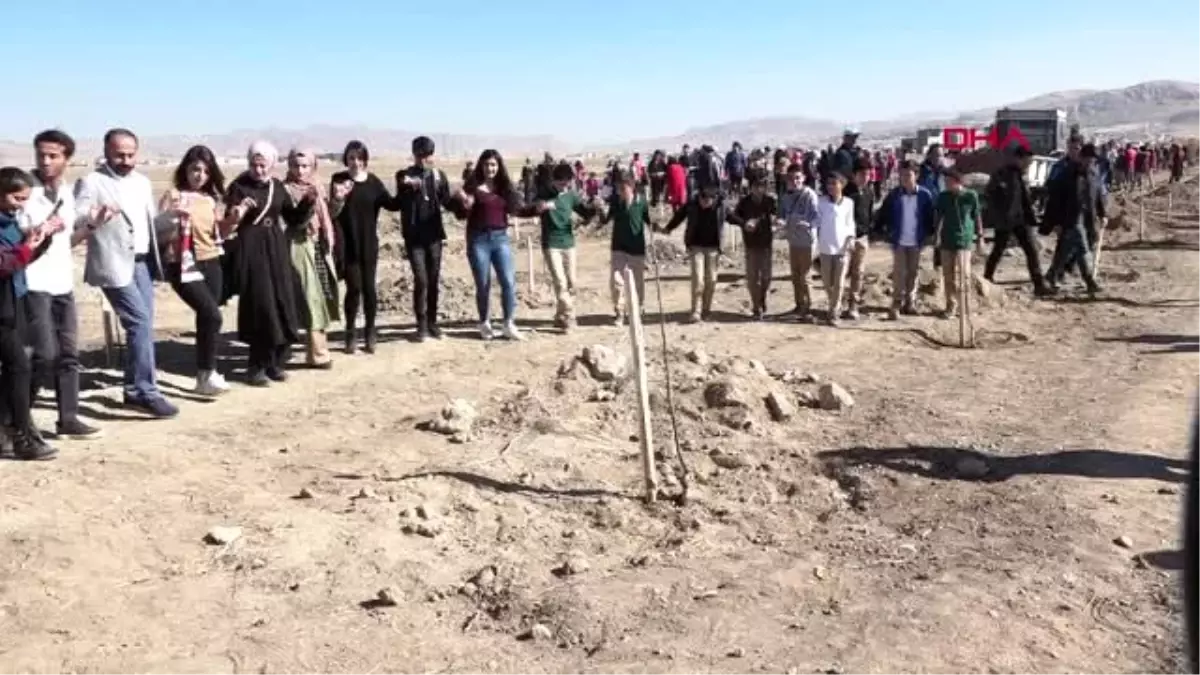 Van'da halaylı fidan dikimi