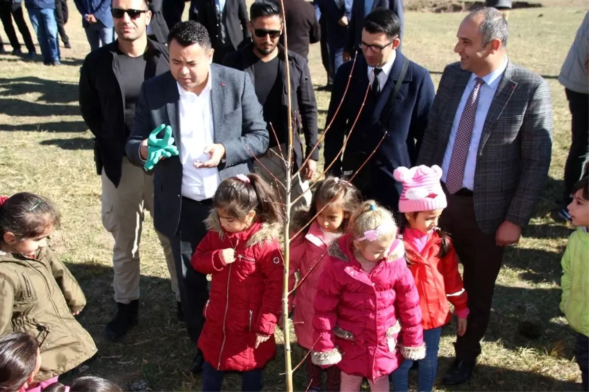 Varto'da 2 bin fidan dikildi