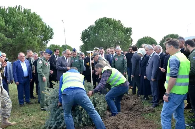 Yalova'da 31 bin 350 ağaç dikildi