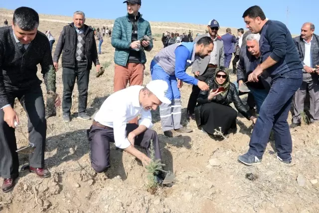 Yarınlara Nefes Olmak İçin Yahyalı'da 11 Bin Fidan Dikildi