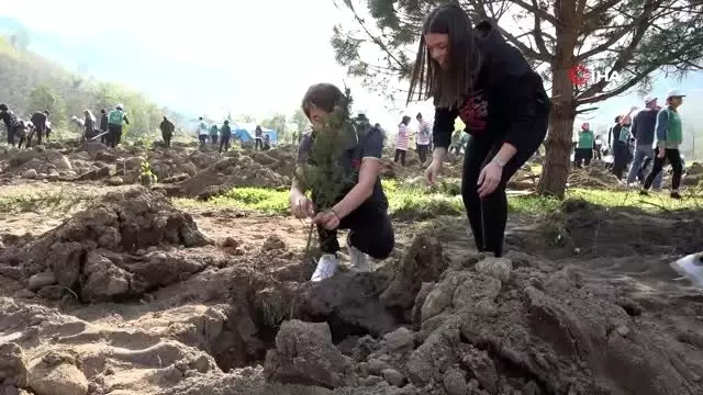 - Yurt geneli fidan dikim seferberliği - Yurt geneli fidan dikim seferberliği