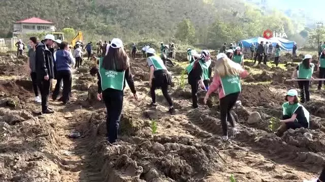 - Yurt geneli fidan dikim seferberliği - Yurt geneli fidan dikim seferberliği
