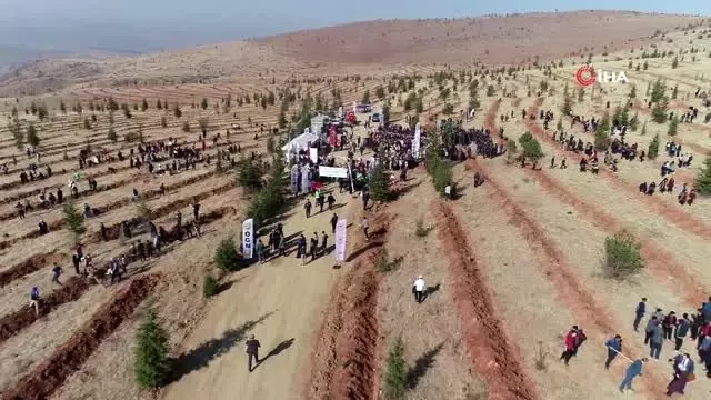 Yurt genelinde fidan dikim seferberliği Yurt genelinde fidan dikim seferberliği