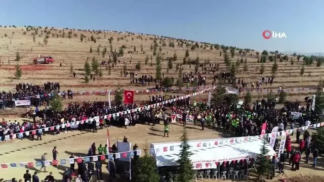 Yurt genelinde fidan dikim seferberliği Yurt genelinde fidan dikim seferberliği