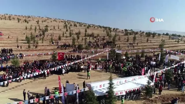 Yurt genelinde fidan dikim seferberliği Yurt genelinde fidan dikim seferberliği