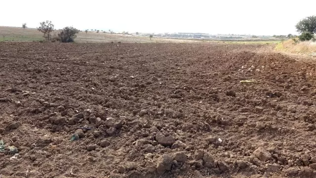 Amerikan ambargolarına tepki gösteren Çanakkaleli muhtar, yerli ve milli tohum projesini başlattı Amerikan ambargolarına tepki gösteren Çanakkaleli muhtar, yerli ve milli tohum projesini başlattı