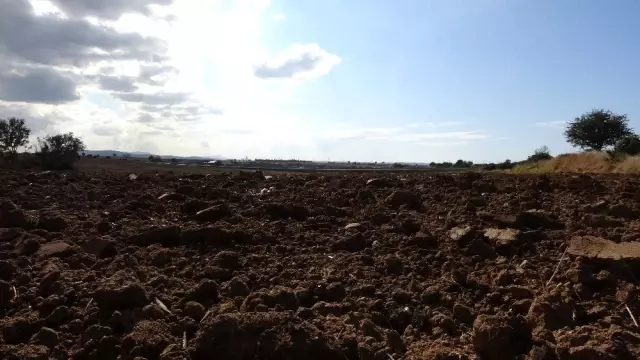 Amerikan ambargolarına tepki gösteren Çanakkaleli muhtar, yerli ve milli tohum projesini başlattı Amerikan ambargolarına tepki gösteren Çanakkaleli muhtar, yerli ve milli tohum projesini başlattı
