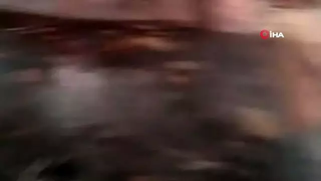 Ardahan'da orman yangını Ardahan'da orman yangını
