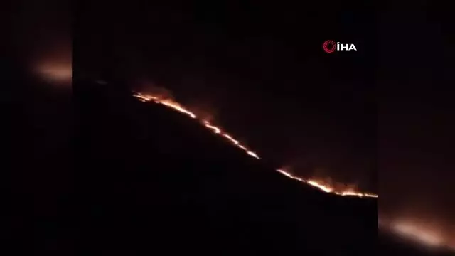 Ardahan'da orman yangını Ardahan'da orman yangını