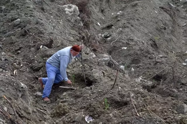 Bakan Pakdemirli: