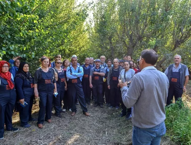 Büyükşehir Belediyesinden üreticiye uygulamalı tarım eğitimi Büyükşehir Belediyesinden üreticiye uygulamalı tarım eğitimi