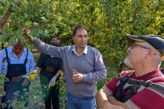 Büyükşehir Belediyesinden üreticiye uygulamalı tarım eğitimi Büyükşehir Belediyesinden üreticiye uygulamalı tarım eğitimi