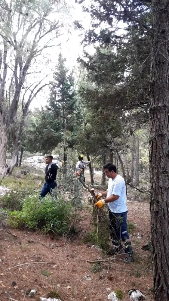 Büyükşehir'den mezarlıklara kapsamlı bakım Büyükşehir'den mezarlıklara kapsamlı bakım