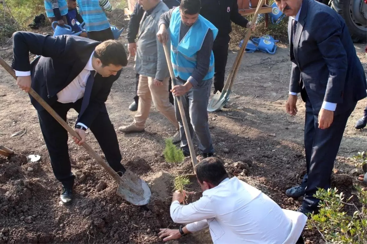 Ceyhan'da yükümlüler fidan dikim kampanyasına katıldı