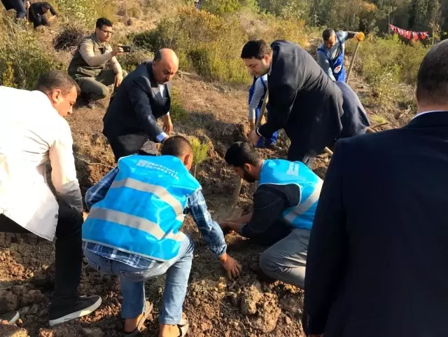 Ceyhan'da yükümlüler fidan dikim kampanyasına katıldı Ceyhan'da yükümlüler fidan dikim kampanyasına katıldı