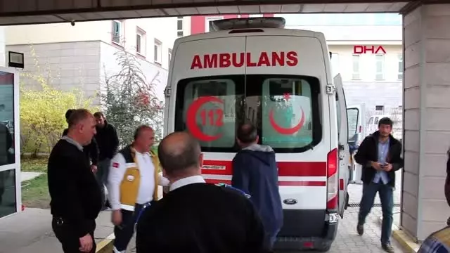 Erzurum çobanı ayı saldırısından köpekleri kurtardı Erzurum çobanı ayı saldırısından köpekleri kurtardı