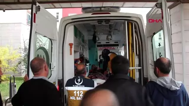 Erzurum çobanı ayı saldırısından köpekleri kurtardı Erzurum çobanı ayı saldırısından köpekleri kurtardı