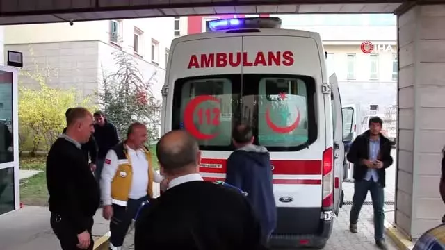 Erzurum'da ayı saldırısı...Ayının saldırdığı çobanın hayatını köpekleri kurtardı