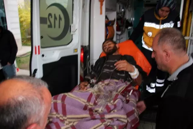 Erzurum'da çobana ayı saldırdı Erzurum'da çobana ayı saldırdı
