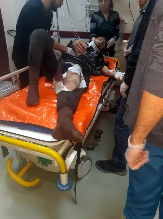 Erzurum'da çobana ayı saldırdı Erzurum'da çobana ayı saldırdı