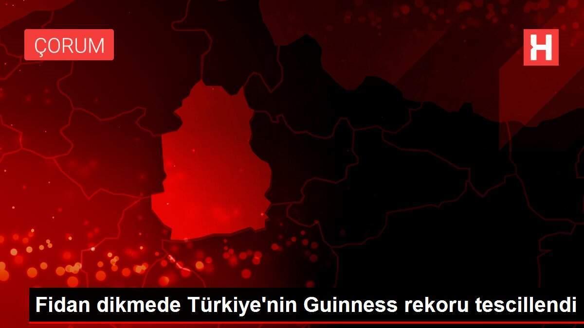 Fidan dikmede Türkiye'nin Guinness rekoru tescillendi