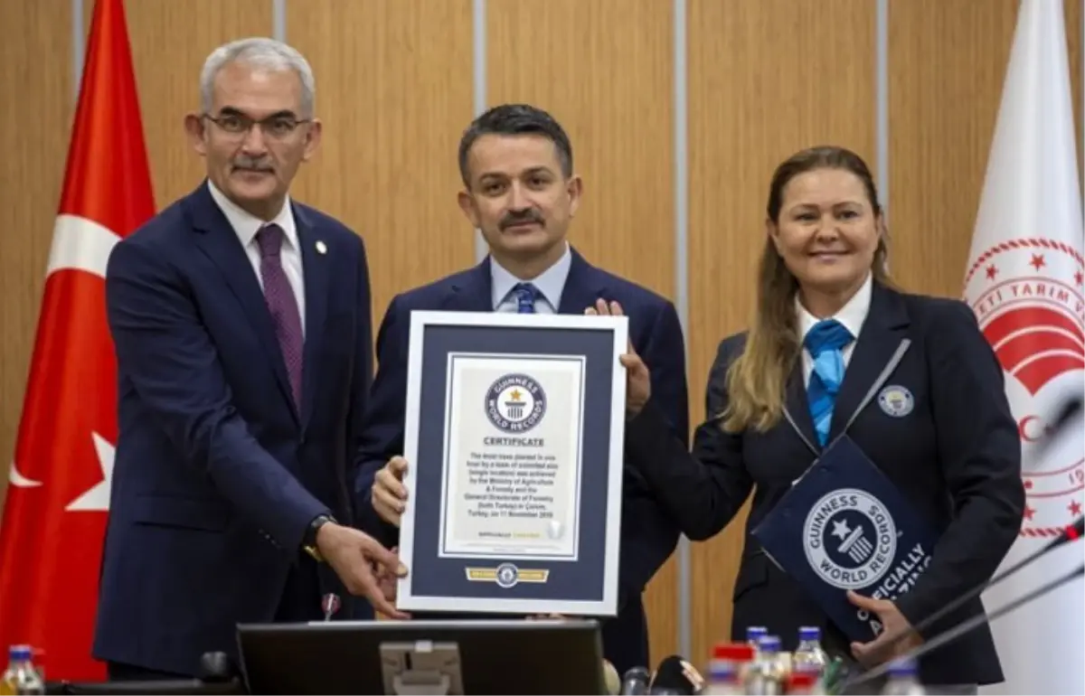 Fidan dikmede Türkiye'nin Guinness rekoru tescillendi