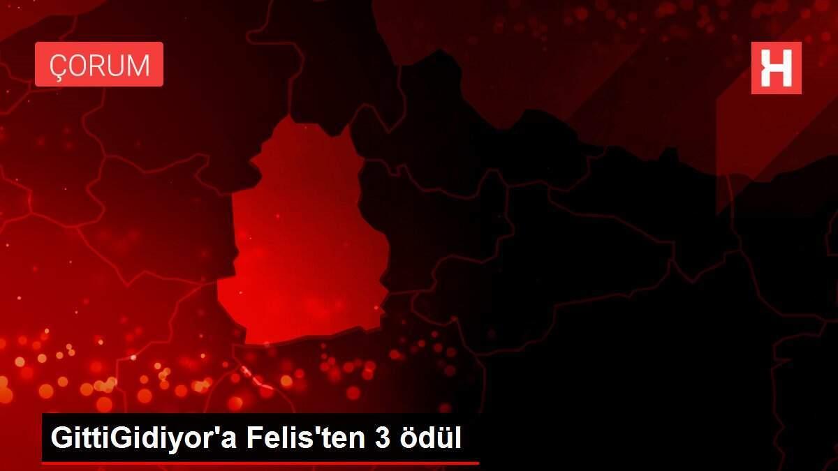 GittiGidiyor'a Felis'ten 3 ödül