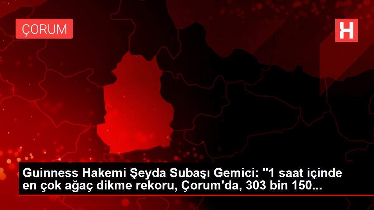 Guinness Hakemi Şeyda Subaşı Gemici: '1 saat içinde en çok ağaç dikme rekoru, Çorum'da, 303 bin 150...