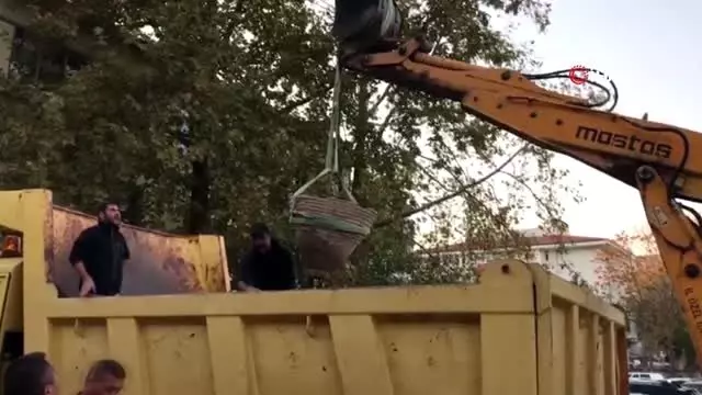 Tarlayı süren çiftçi, tesadüfen Roma dönemine ait erzak küpünü gün yüzüne çıkardı Tarlayı süren çiftçi, tesadüfen Roma dönemine ait erzak küpünü gün yüzüne çıkardı