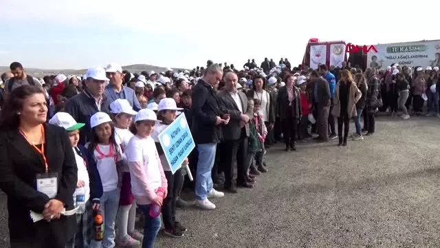 Kütahya'da 250 bin fidan dikildi, 3 hektarlık orman yandı Kütahya'da 250 bin fidan dikildi, 3 hektarlık orman yandı