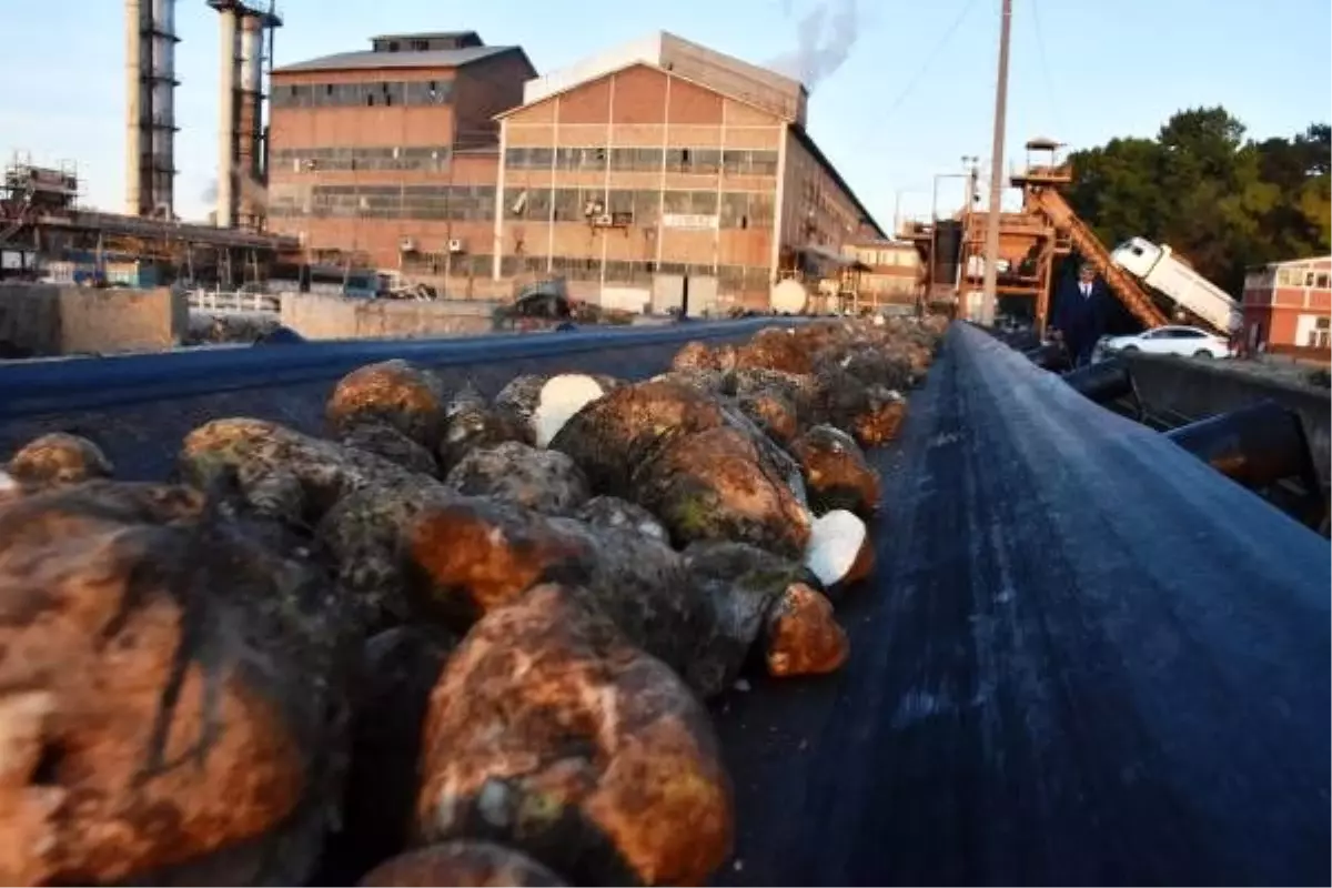 Malatya Şeker Fabrikası'nda 25 yılın rekoru kırıldı