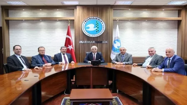 Marmarabirlik, yağlık zeytin alım fiyatını 4 TL’ye yükseltti Marmarabirlik, yağlık zeytin alım fiyatını 4 TL’ye yükseltti