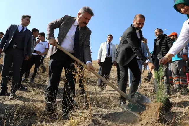 Melikgazi Belediyesi'nin 32 mahallesinde 12 bin 800 fidan dikimi