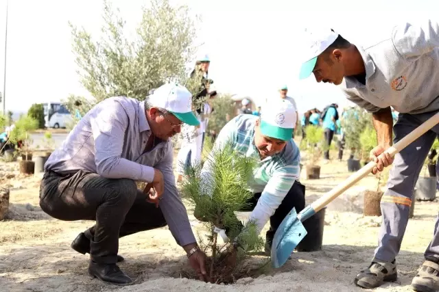 MTOSB'de 2 bin 500 fidan toprakla buluştu