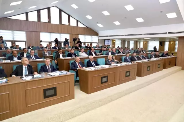 Ordu'da hayvanların barınacağı ve tedavi edileceği örnek proje hazırlanıyor Ordu'da hayvanların barınacağı ve tedavi edileceği örnek proje hazırlanıyor