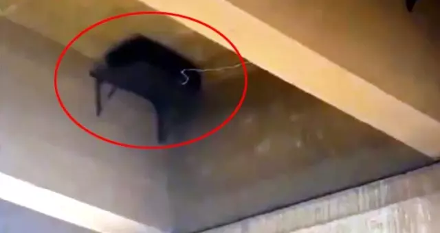 Rasulayn'da teröristlerin köprüye tuzakladığı EYP etkisiz hale getirildi