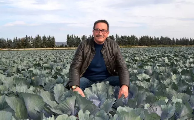 Şahin: